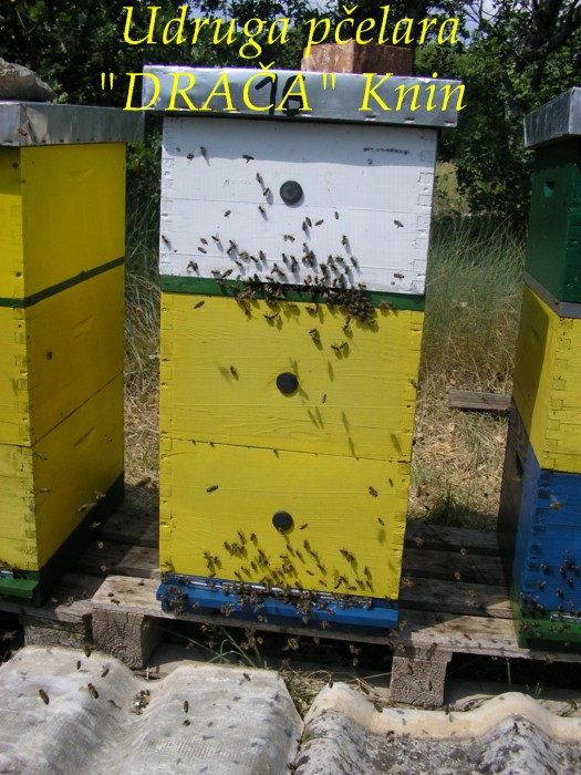 UP_Draca_Knin (17)
